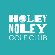 holey logo